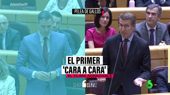 Los seis detalles del 'cara a cara' entre Sánchez y Feijóo que marcan el sendero de la relación entre el Gobierno y el 'nuevo' PP Los seis detalles del 'cara a cara' entre Sánchez y Feijóo que marcan el sendero de la relación entre el Gobierno y el 'nuevo' PP