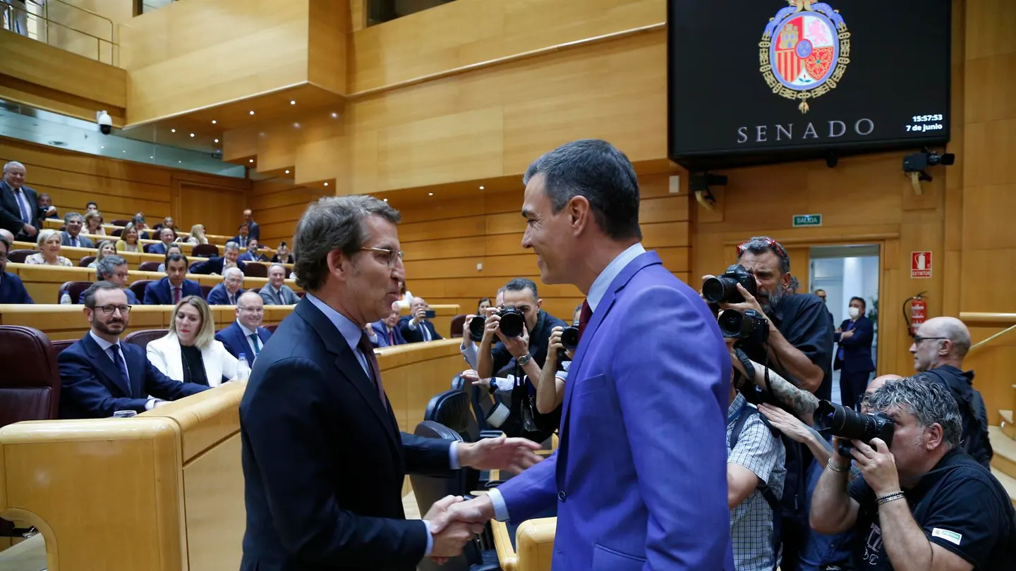 Alberto Núñez Feijóo y Pedro Sánchez se saludan en el Senado Alberto Núñez Feijóo y Pedro Sánchez se saludan en el Senado