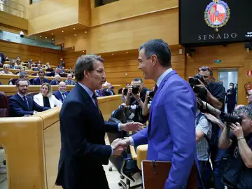 Alberto Núñez Feijóo y Pedro Sánchez se saludan en el Senado