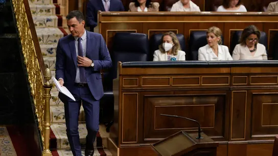 Pedro Sánchez en el Congreso de los Diputados Pedro Sánchez en el Congreso de los Diputados