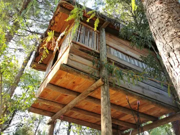 Casa Árbol Casa Árbol