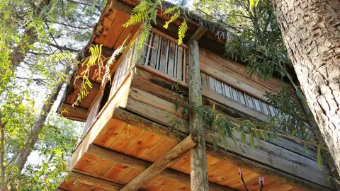 Casa Árbol Casa Árbol