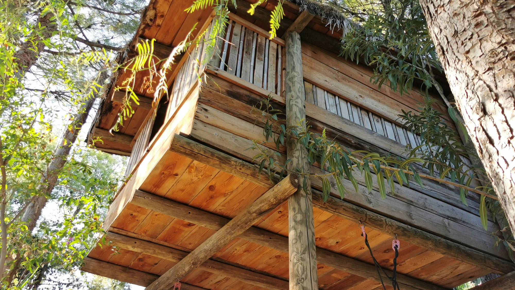 Casa Árbol Casa Árbol