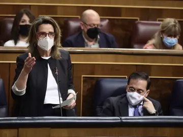 La vicepresidenta tercera y ministra para la Transición Ecológica y el Reto Demográfico, Teresa Ribera, interviene en una sesión plenaria, en el Congreso de los Diputados.