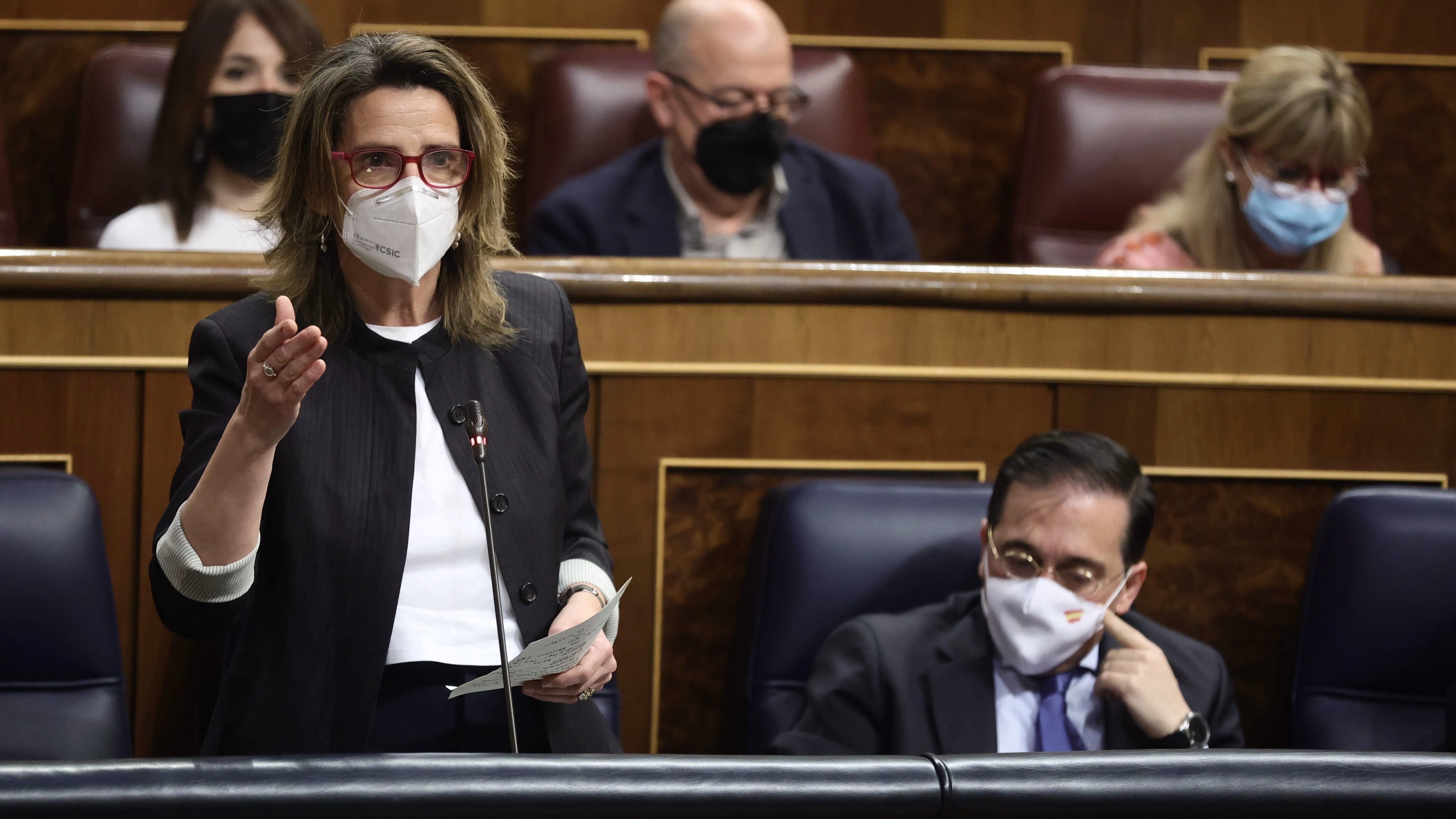 La vicepresidenta tercera y ministra para la Transición Ecológica y el Reto Demográfico, Teresa Ribera, interviene en una sesión plenaria, en el Congreso de los Diputados.