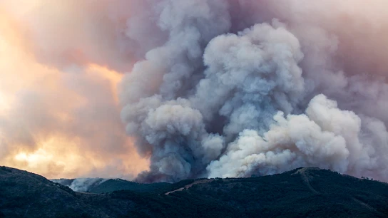 Vista del incendio forestal de Pujerra (Málaga), declarado este miércoles en el Paraje de la Resinera Vista del incendio forestal de Pujerra (Málaga), declarado este miércoles en el Paraje de la Resinera