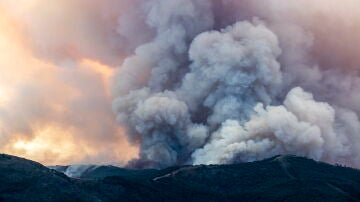 Vista del incendio forestal de Pujerra (Málaga), declarado este miércoles en el Paraje de la Resinera