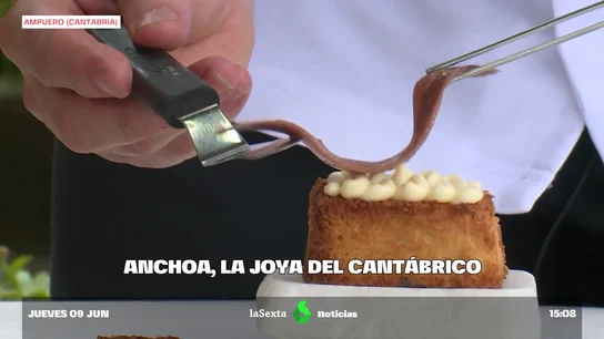 La anchoa, la joya del mar Cantábrico: "Hasta con chocolate" Sola o acompañada
