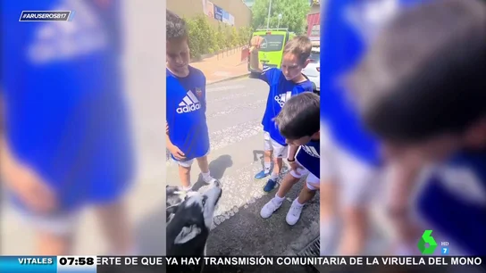 Perro niño Perro niño