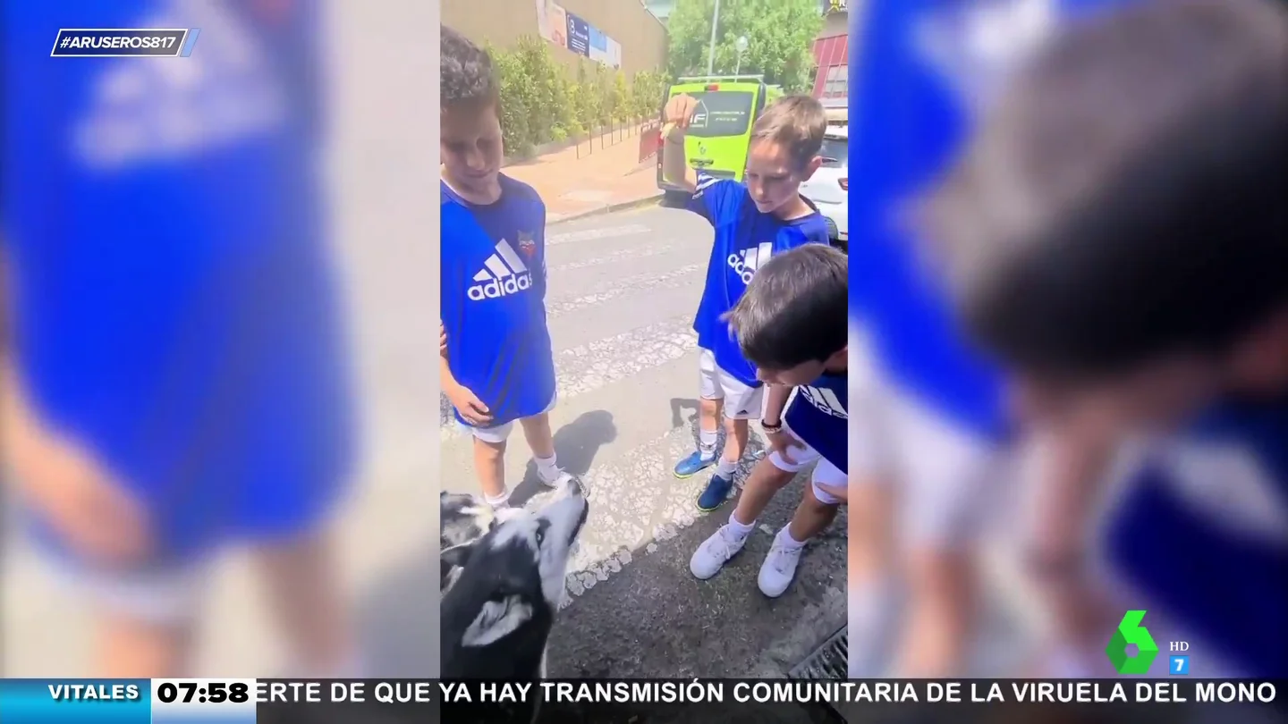 Perro niño Perro niño