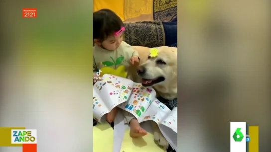 La 'perrería' viral de una niña a su perro: así acaba el animal lleno de pegatinas La 'perrería' viral de una niña a su perro: así acaba el animal lleno de pegatinas