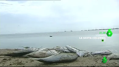 laSexta Columna Mar Menor laSexta Columna Mar Menor