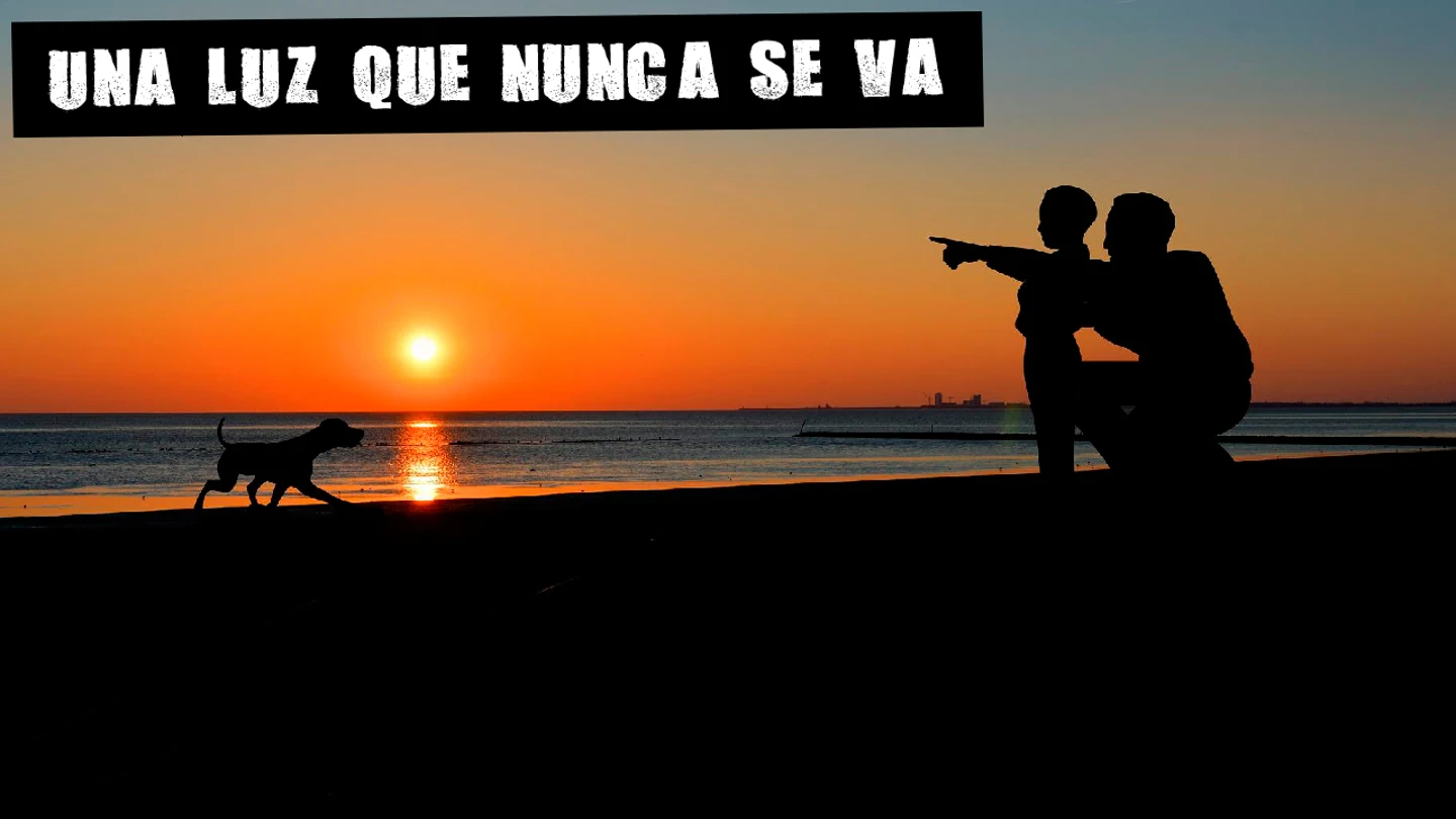 Ningún hombre busca el reconocimiento en la paternidad o los cuidados Ningún hombre busca el reconocimiento en la paternidad o los cuidados