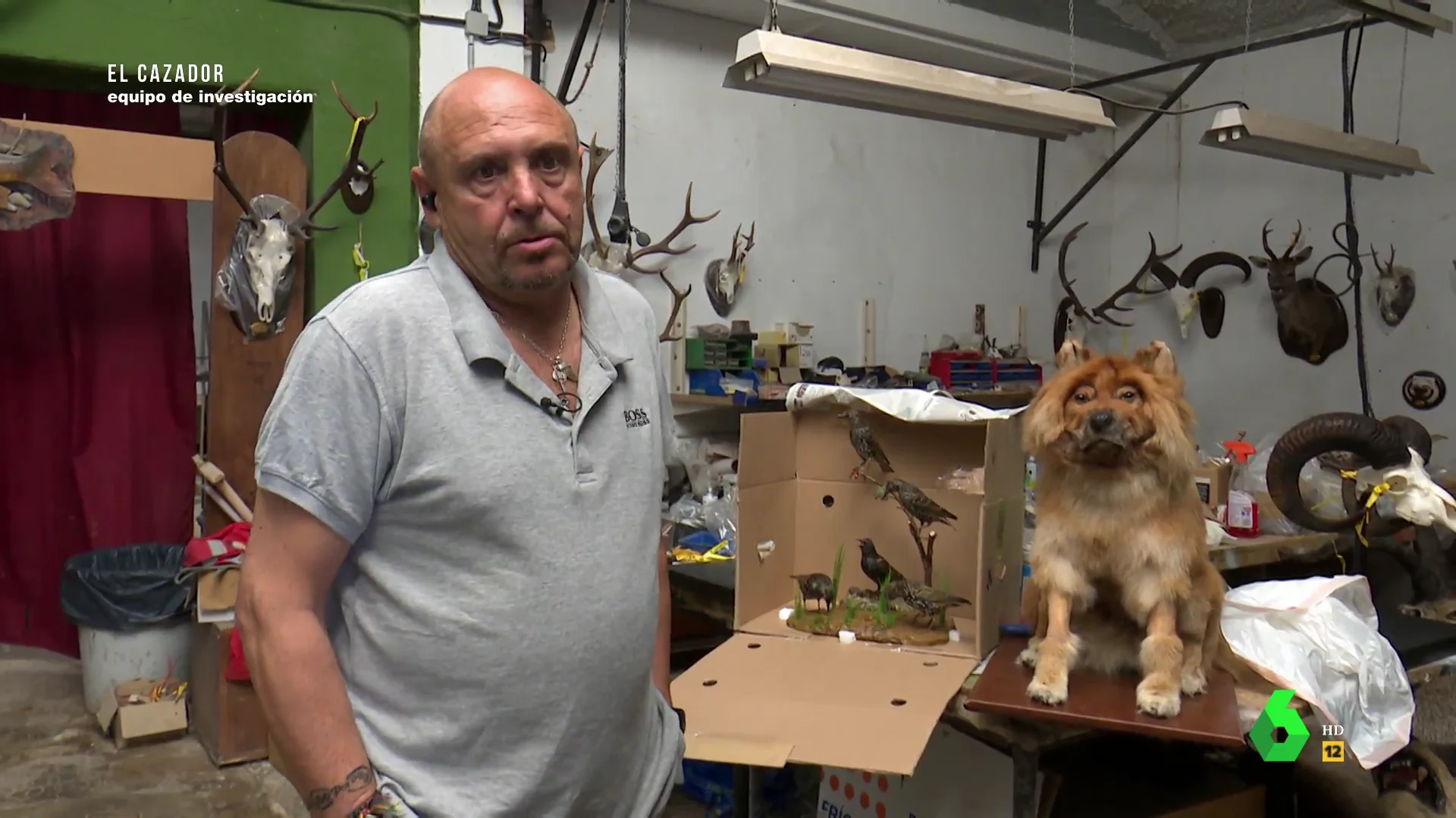 José Mur, taxidermista