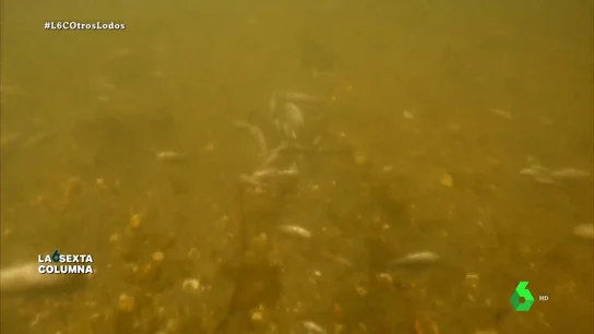 Las 'zonas de sacrificio' ambiental de las que se nutre el capitalismo se vuelven en su contra: sí, son un desastre económico además de ecológico Las 'zonas de sacrificio' ambiental de las que se nutre el capitalismo se vuelven en su contra: sí, son un desastre económico además de ecológico