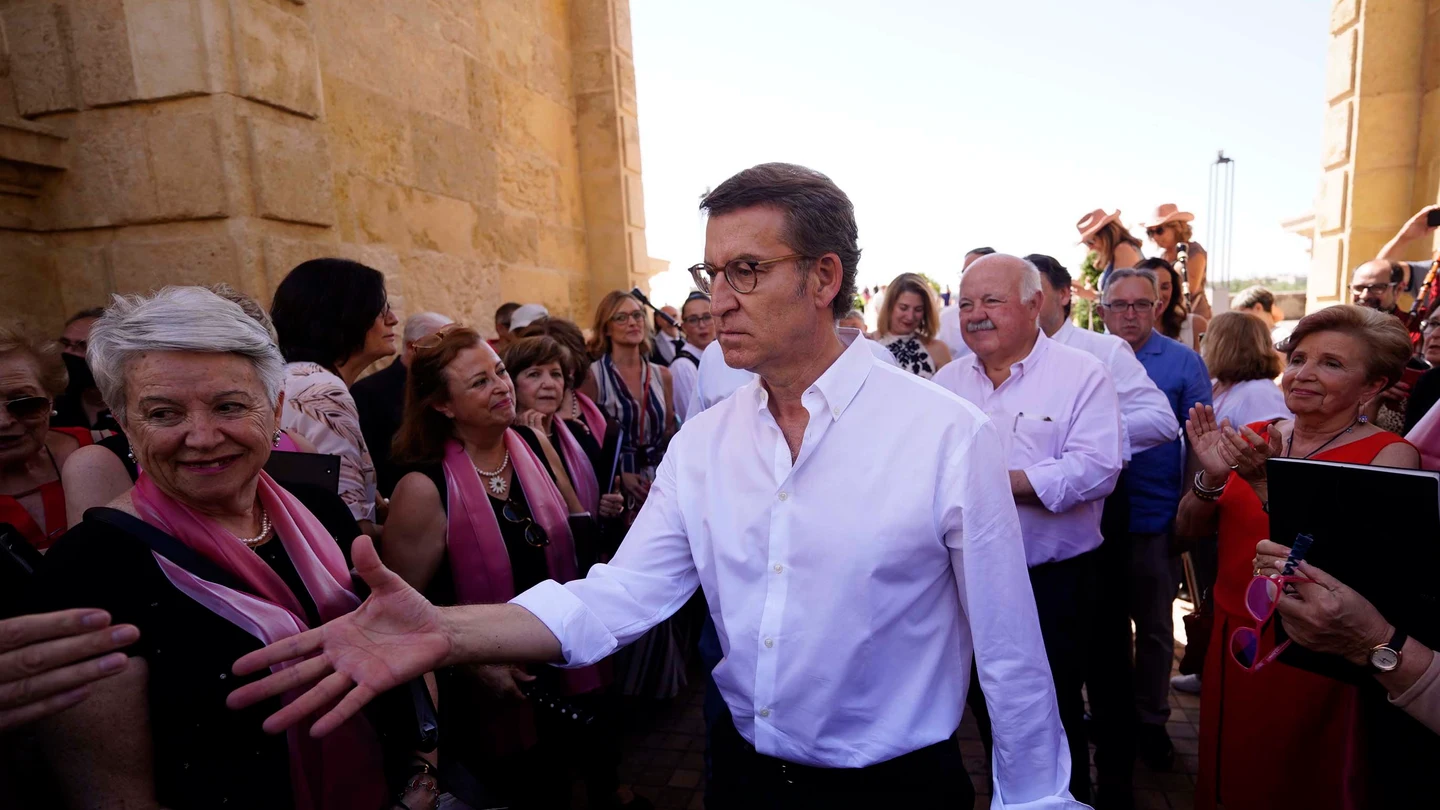 Alberto Núñez Feijóo, durante un mitin del PP en Andalucía Alberto Núñez Feijóo, durante un mitin del PP en Andalucía