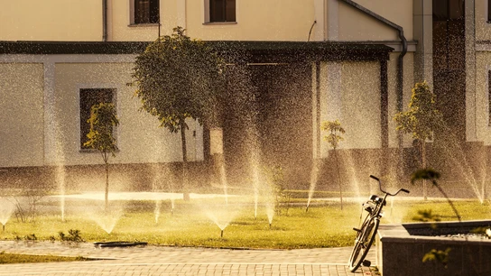 Por qué las olas de calor serán cada vez más frecuentes y qué efectos tendrán sobre nosotros Por qué las olas de calor serán cada vez más frecuentes y qué efectos tendrán sobre nosotros