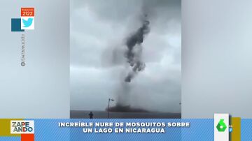 Nube de mosquitos en Nicaragua