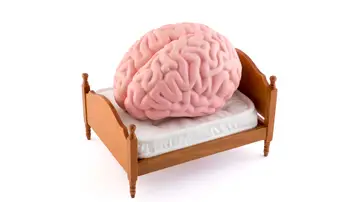 Cerebro en la cama