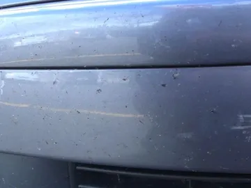 Mosquitos en la carrocería de un coche Mosquitos en la carrocería de un coche