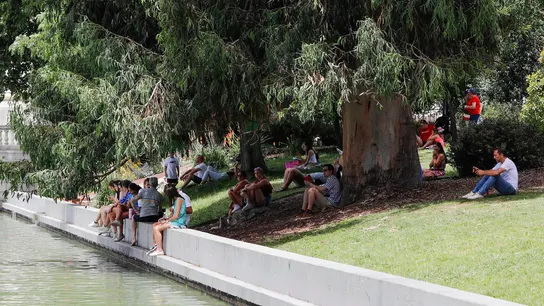 Personas bajo la sombra de un árbol en plena ola de calor en Madrid Personas bajo la sombra de un árbol en plena ola de calor en Madrid