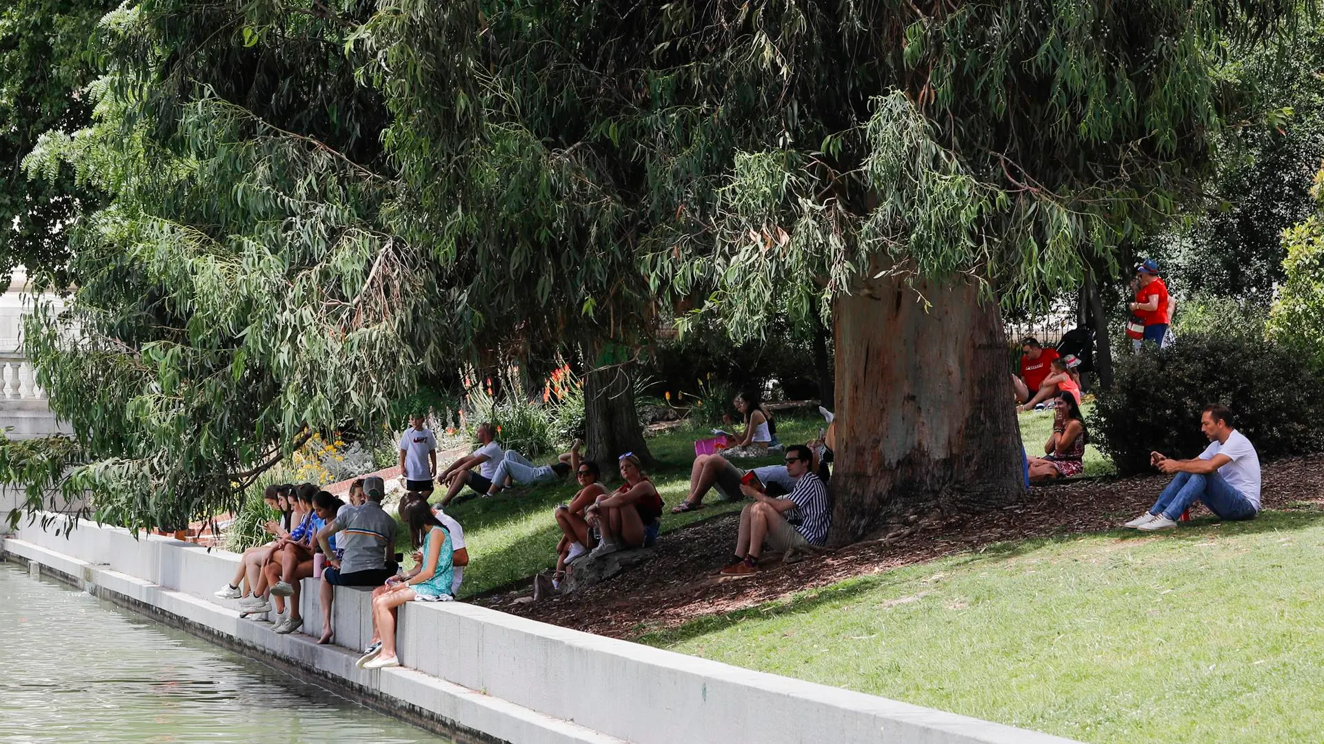 Personas bajo la sombra de un árbol en plena ola de calor en Madrid