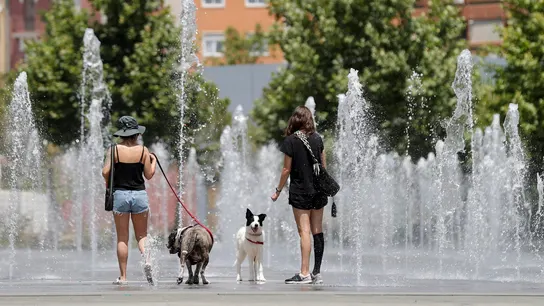 Dos personas pasean con sus mascotas en horas centrales del día. Cuidado con estas seis enfermedades asociadas al calor: estos son sus síntomas