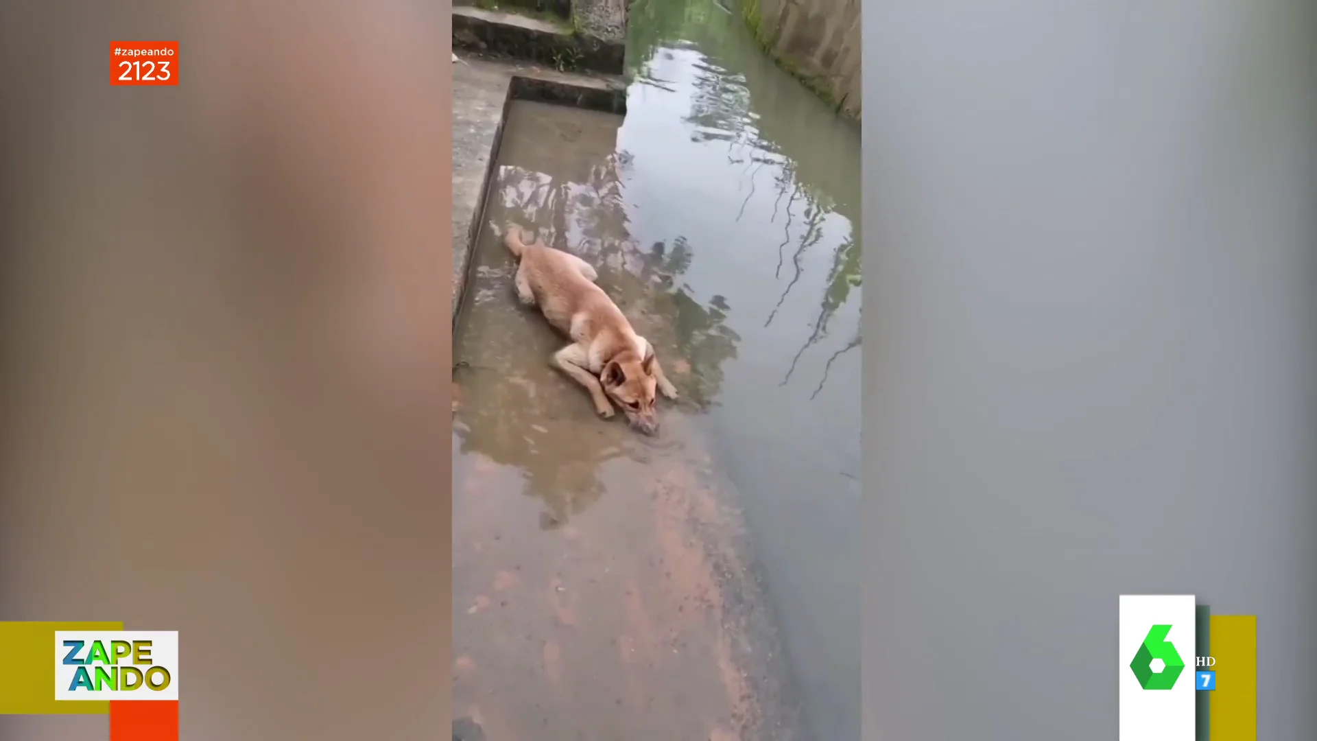 Cómo afrontar la ola de calor