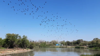 Dos Hermanas Dos Hermanas