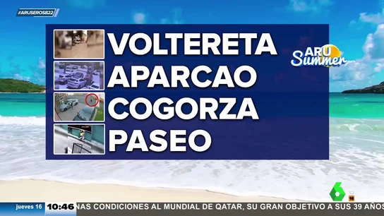 AruSummer lagarto AruSummer lagarto