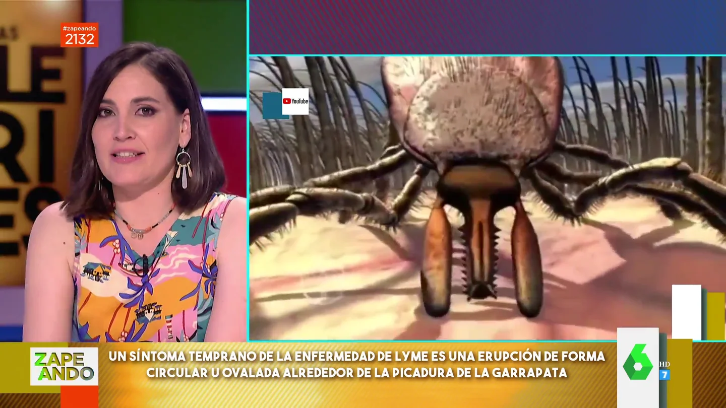 Qué hacer si te pica una garrapata: Boticaria García explica los pasos a seguir Qué hacer si te pica una garrapata: Boticaria García explica los pasos a seguir