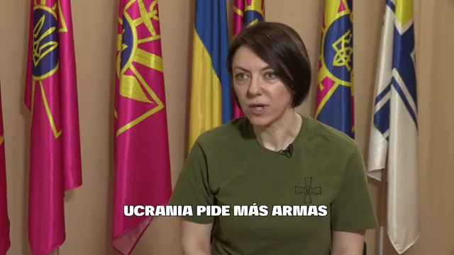 Vice ucrania