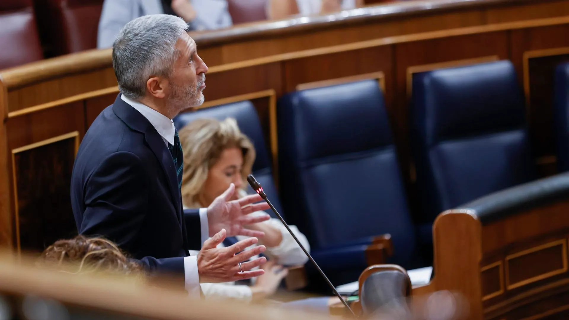 El ministro del Interior, Fernando Grande-Marlaska