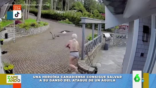 Vídeo viral de una mujer ahuyentando a un águila Vídeo viral de una mujer ahuyentando a un águila