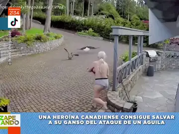 Vídeo viral de una mujer ahuyentando a un águila