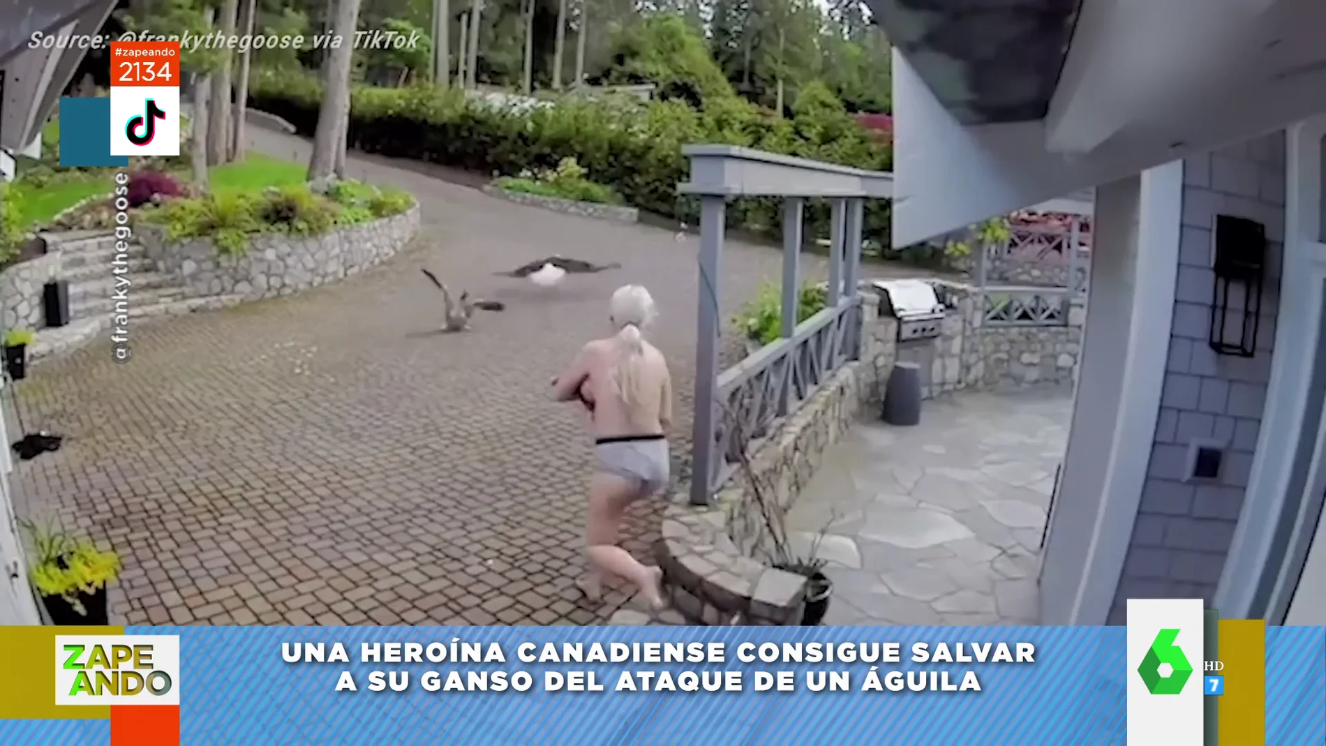 Vídeo viral de una mujer ahuyentando a un águila