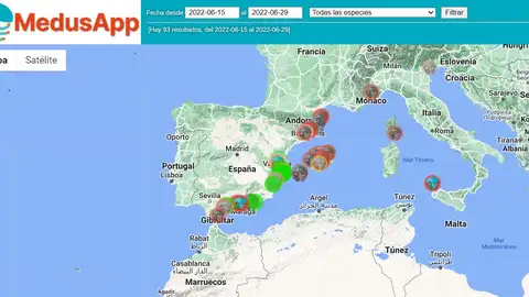 Mapa de medusas en España Mapa de medusas en España