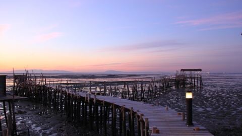 Carrasqueira