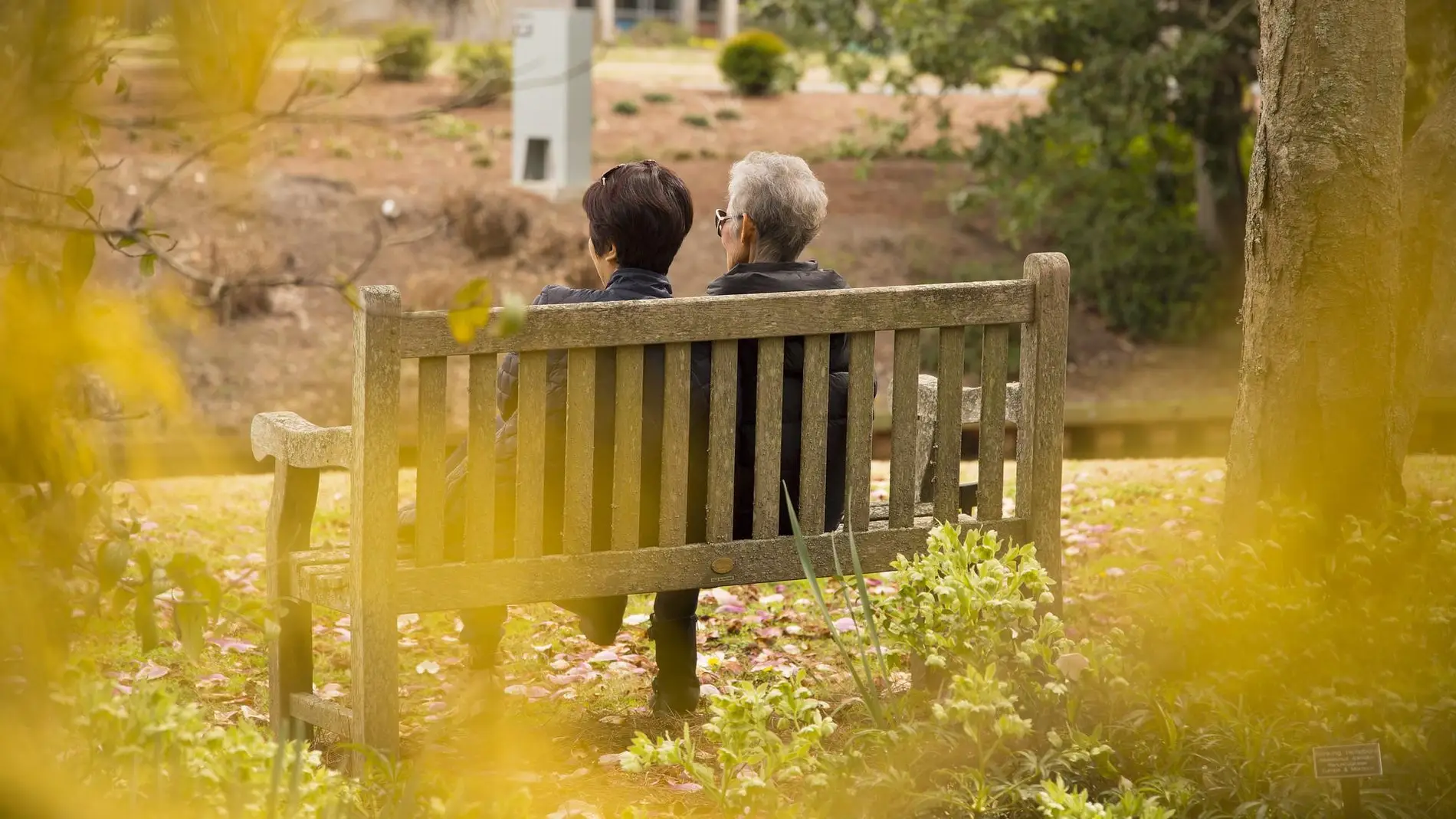 dos generaciones en un banco dos generaciones en un banco