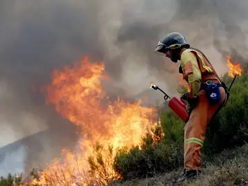 Incendios forestales activos en España, en directo hoy: desalojos y última hora en Ávila, Tenerife y Las Hurdes (Cáceres) Incendios forestales activos en España, en directo hoy: desalojos y última hora en Ávila, Tenerife y Las Hurdes (Cáceres)