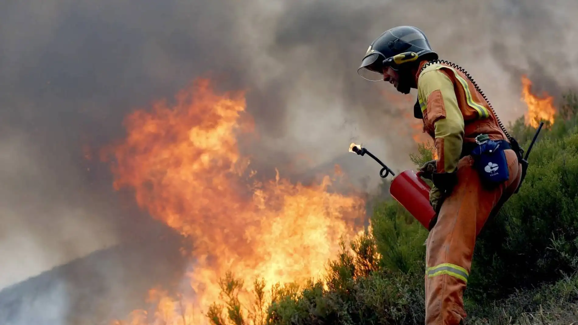 El regimen de incendios del continente europeo ha experimentado un cambio sin precedentes