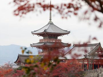 Los 5 lugares de visita obligada en Japón
