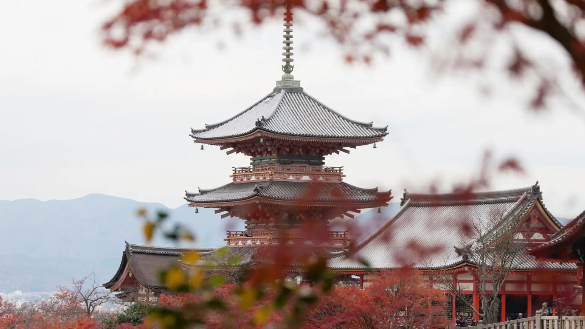 Los 5 lugares de visita obligada en Japón