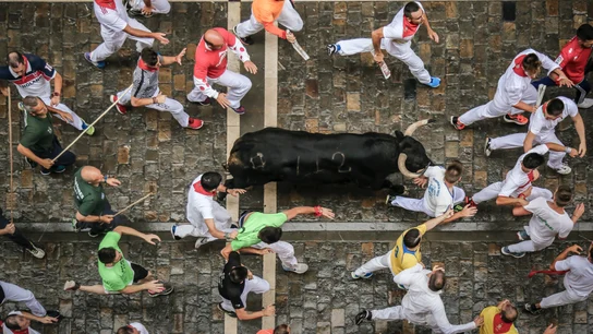 Varios corredores participan en el encierro de San Fermín, corriendo junto a los toros. Varios corredores participan en el encierro de San Fermín, corriendo junto a los toros.