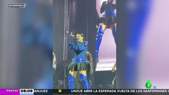 rosalia rosalia