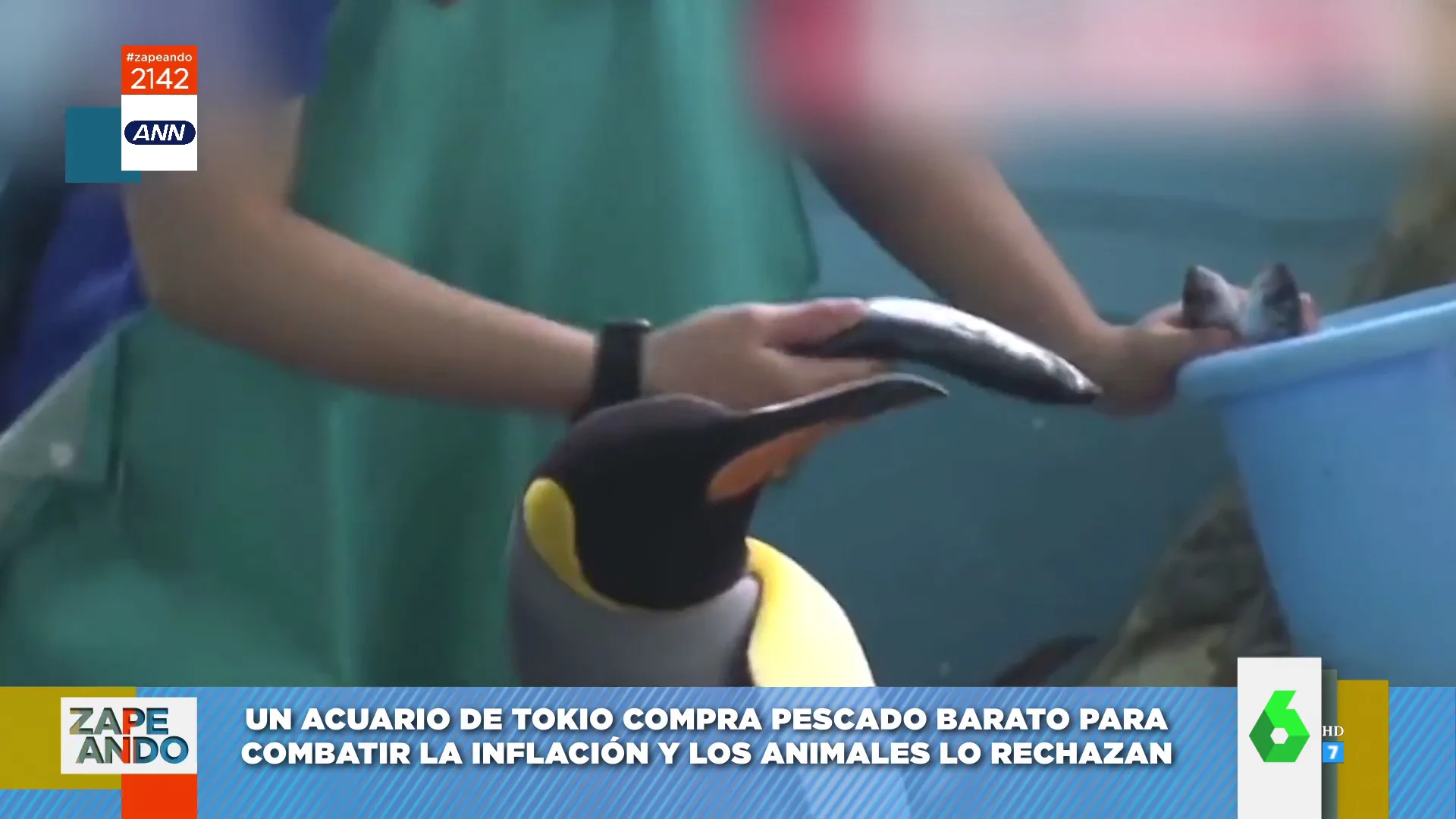 Vídeo viral de pingüinos