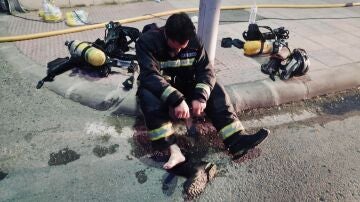 La foto de un bombero tras varias jornadas de incendios conmueve las redes sociales 