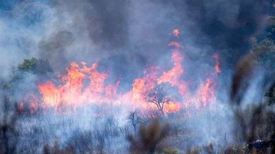 Incendio activo en el Parque Nacional de Monfragüe Incendio activo en el Parque Nacional de Monfragüe