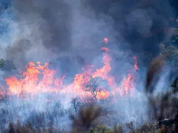 Incendio activo en el Parque Nacional de Monfragüe