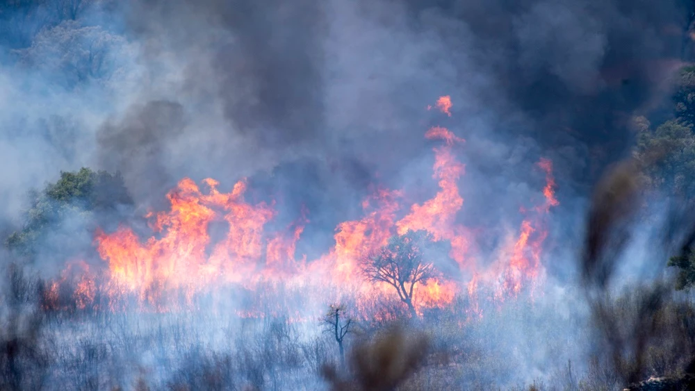 Incendio activo en el Parque Nacional de Monfragüe